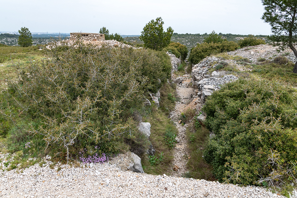 Prolongement nord de la tranchée partant de la cuve n°2 de la batterie principale, vers poste crénelé 