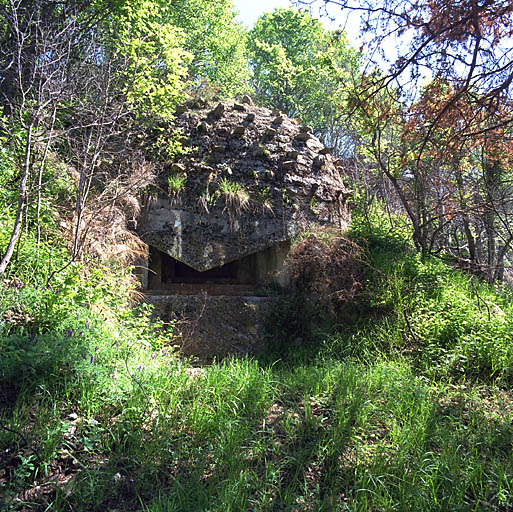 Ouvrage d'infanterie n° 29 : bloc et embrasure de tir.