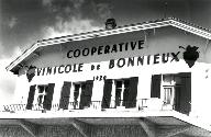 coopérative vinicole