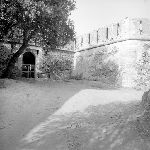 fort du Moulin dit Château de Port-Cros
