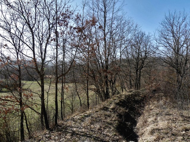 Ruisseau surélevé sur un remblai, aux Rosières.
