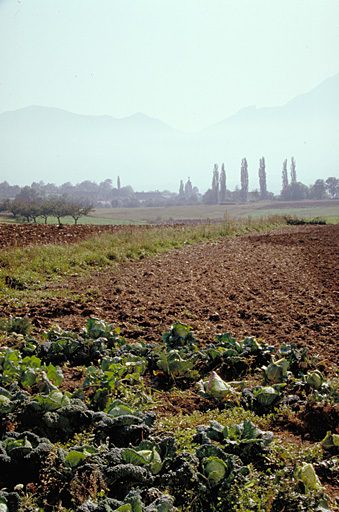 présentation du canton de Saint-Bonnet-en-Champsaur