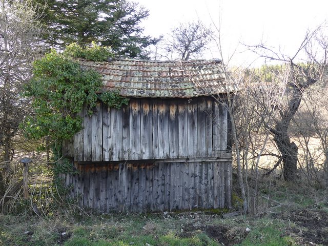 « Cabanon » en bois, au Grand Pré.