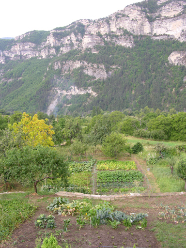 Les jardins potagers à l'entrée du village.