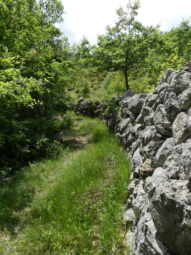 Ancien chemin des Granges au torrent du Rif, bordé par le mur de soutènement d'un grand pierrier bâti.