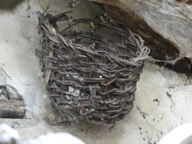 Etage de comble, pigeonnier. Mur sud, boulin en vannerie suspendu.