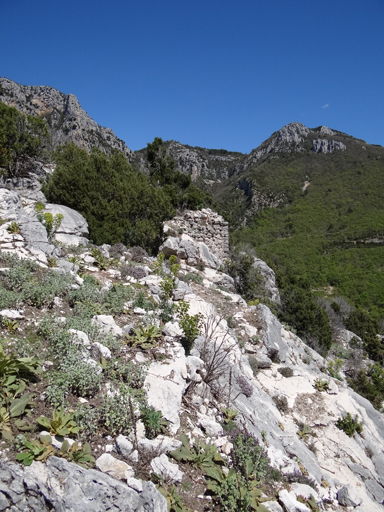 Site castral de Maireste. Sommet castral, versant sud. Reste d'élévation avec chaîne d'angle, vue prise du sud.