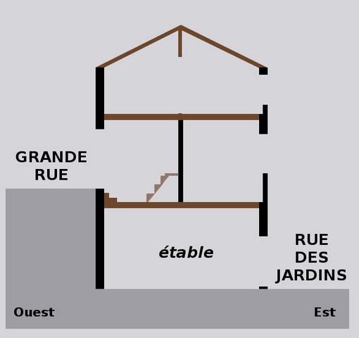 Coupe schématique du bâtiment, est-ouest.