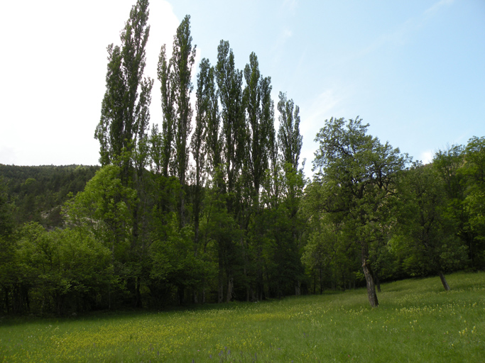 présentation de la commune d'Ubraye