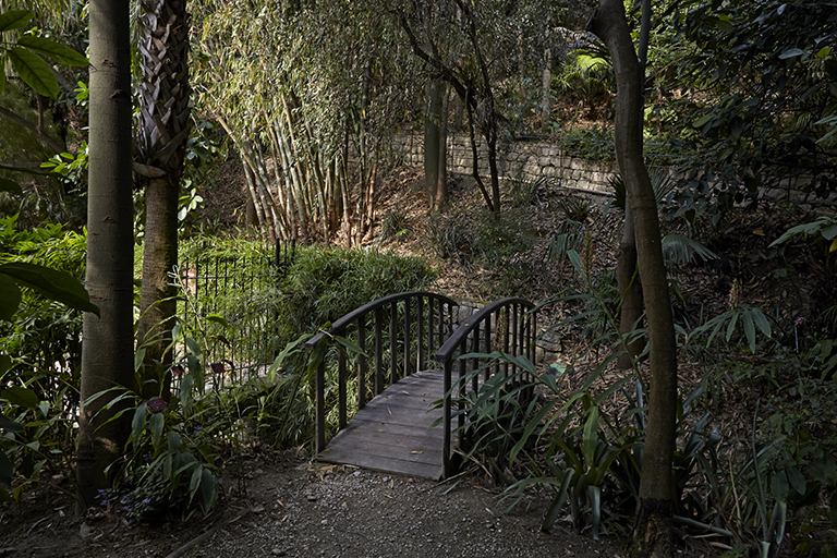 Jardin des plantes de milieu tropical forestier : pont en bois.