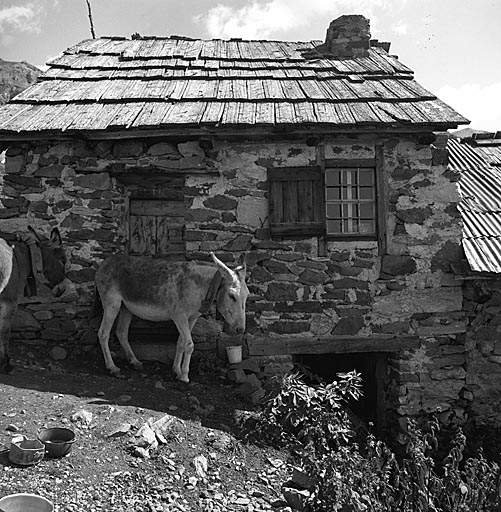 Chalet d'estive. Façade ouest. Noter l'importance du soubassement.