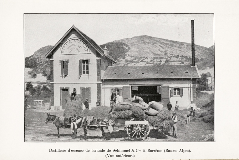 parfumerie (distillerie de lavande) Schimmel puis Mane Frères