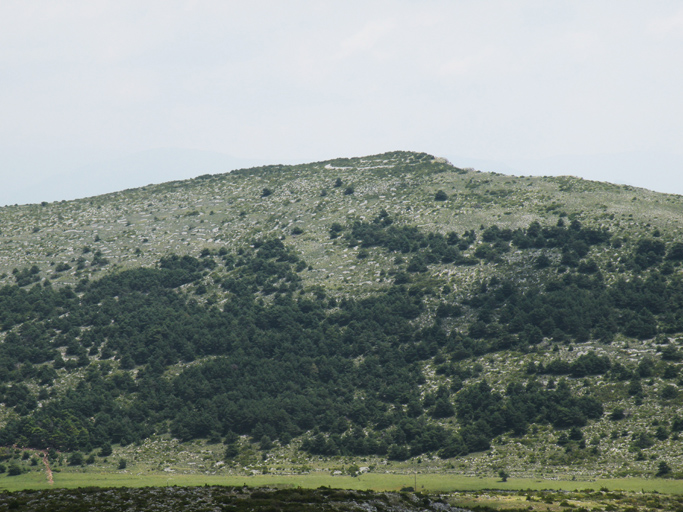 Oppidum de la Barre de Catalan. Vue de situation prise du nord-ouest.