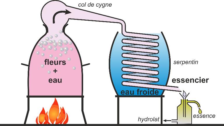 parfumeries de Grasse