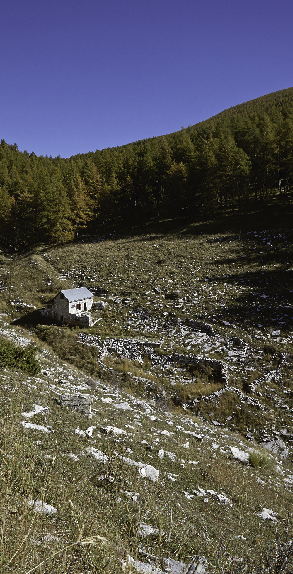 La cabane de l'Orgéas dans sa pâture (Thorame-Haute).