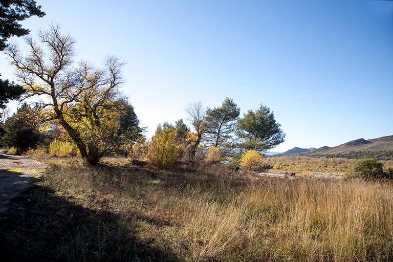 Hameau de forestage de Harkis de Jouques, dit le Camp du Logis d'Anne