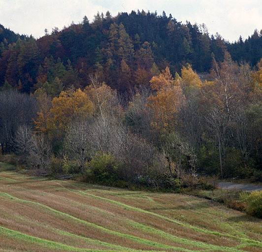 présentation du canton de Saint-Bonnet-en-Champsaur