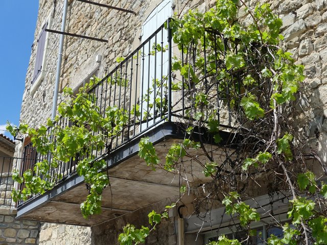Partie ouest. Elévation sud, deuxième niveau. Balcon et treille de vigne.