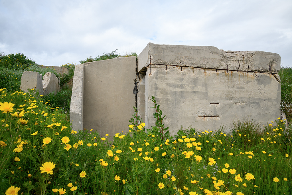 Batterie du Pharo, batterie haute, arrière et porte de l'abri de la cuve médiane 