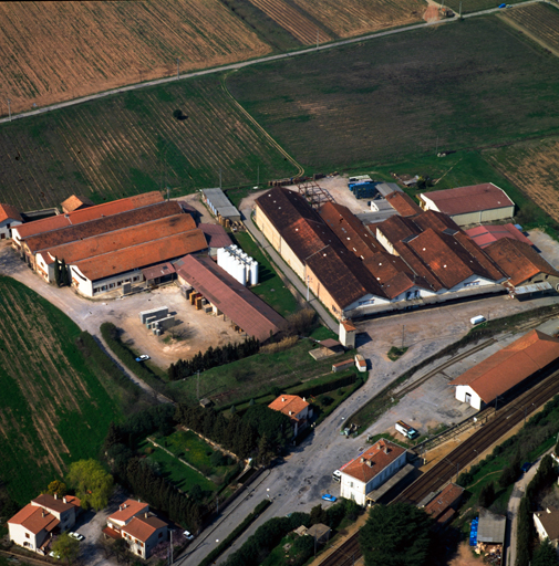 Coopérative vinicole, Coopérative agricole dite Cave coopérative la Vidaubanaise