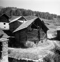 ferme (chalet d'estive)