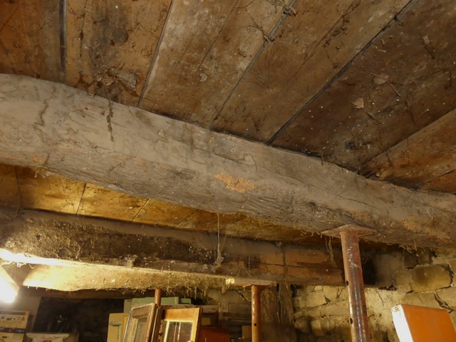 Etage de soubassement, étable. Plafond sur solives.