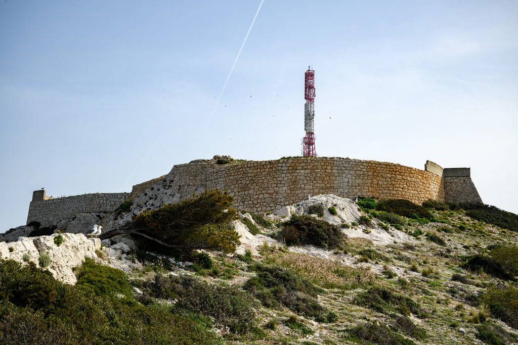 Vue de l'extrémité ouest, revêtement en hémicycle de l'emplacement de tir n°1 encadré des saillies des restes d'ouvrages du XVIIe siècle