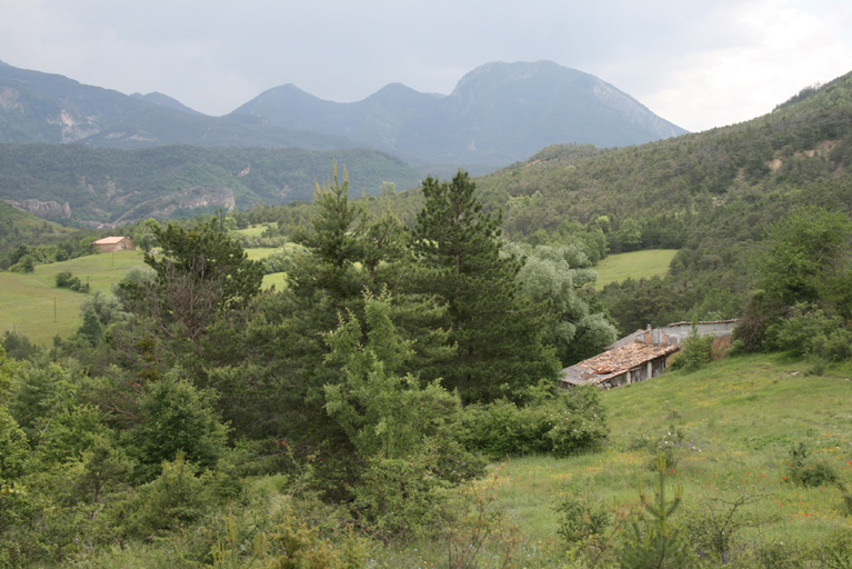 présentation de la commune de Senez