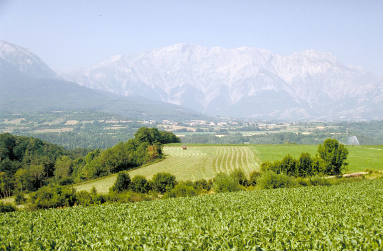 présentation de la commune du Noyer