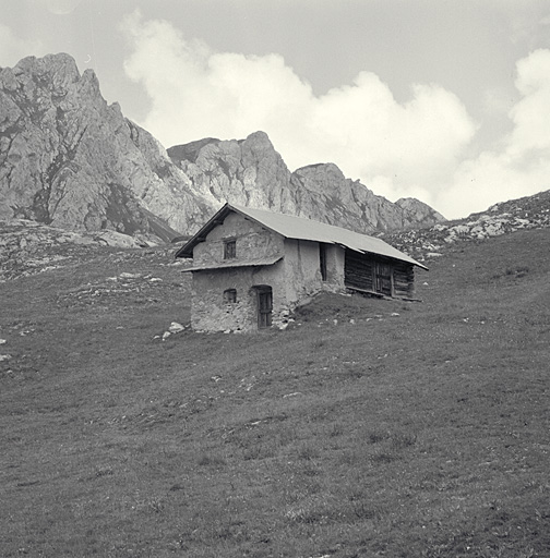 Ferme (chalet d'estive)