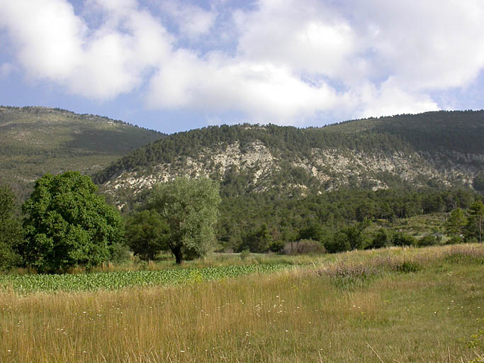 bourg castral de la Foux