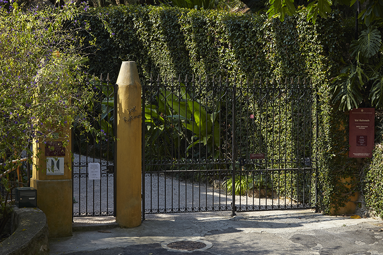 Entrée de jardin : vue d'ensemble depuis la voie publique. Derrière la grille, haie de figuiers rampants délimitant l'un des côtés de l'allée.