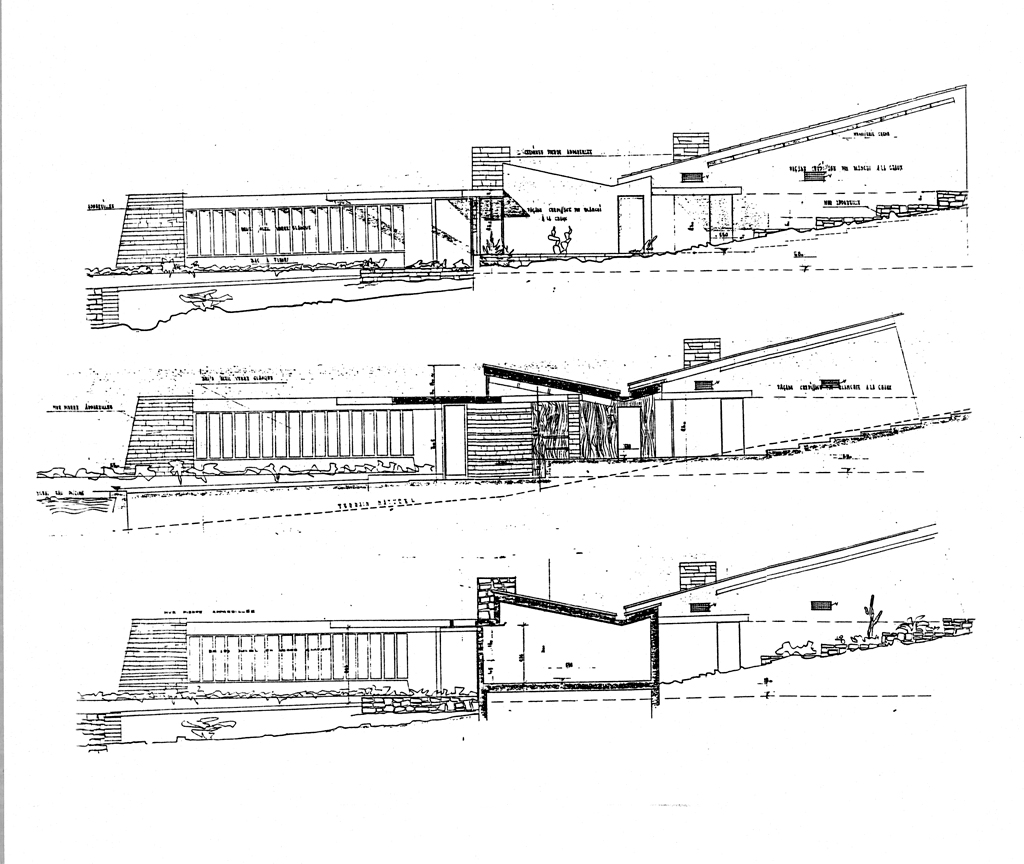 maison dite Villa Eléphant