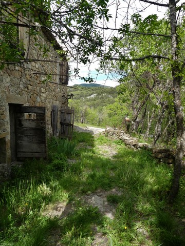 Cour, vue prise du sud.