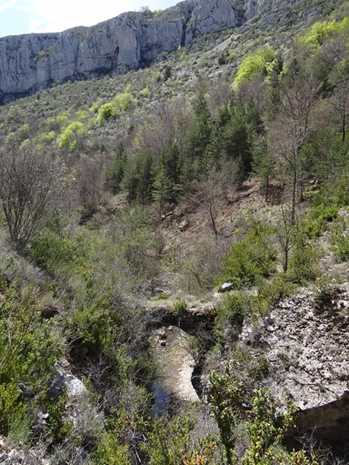 La vallée au niveau du moulin des Subis.