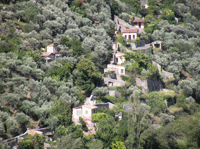 L'oliveraie et les jardins du quartier de la Fouent de Castel.