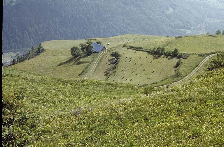 présentation de la commune d'Orcières