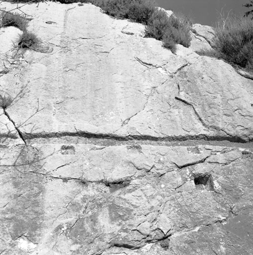Bergerie de Bérengier (1841 B3 345). Rainure et trous d’ancrages des chevrons de charpente entaillés dans la roche. 