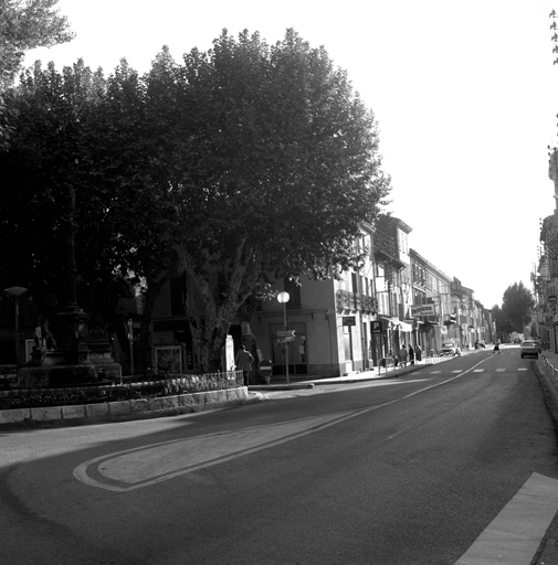 Avenue du Président Wilson. Vue prise de l'angle de l'avenue Maximin-Martin.