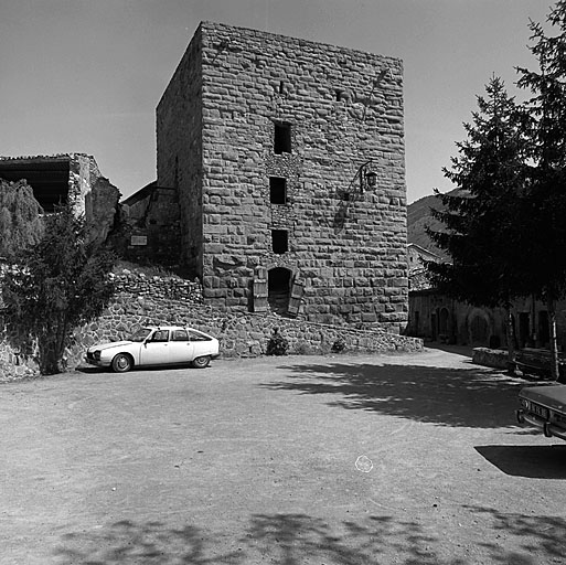 La tour-donjon en 1982, vue d'ensemble prise du sud.