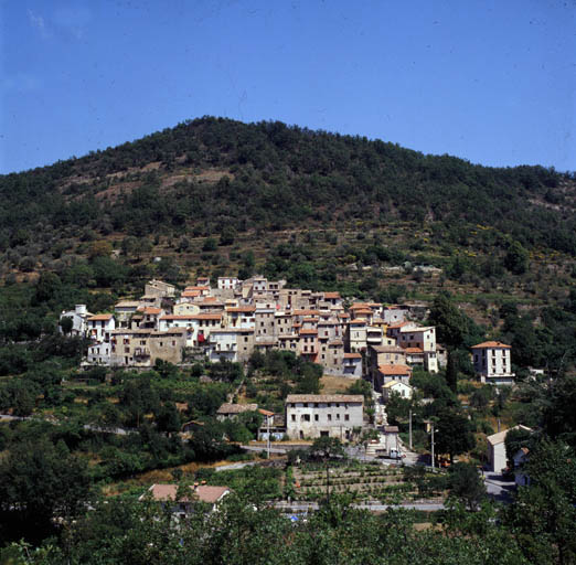 Village