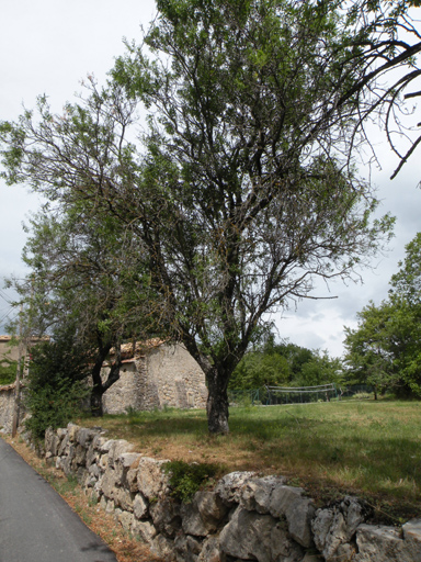 présentation de la commune de Saint-Julien-du-Verdon