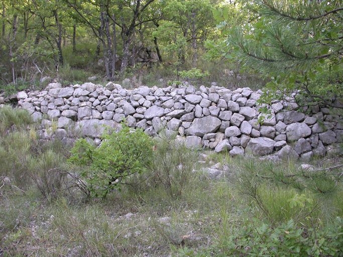 présentation de la commune de Sausses