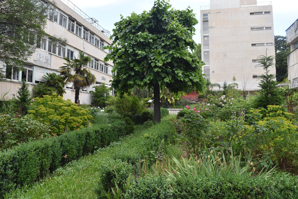 parc du Château de Valrose, actuellement campus universitaire de sciences de l'Université Nice Côte d'Azur