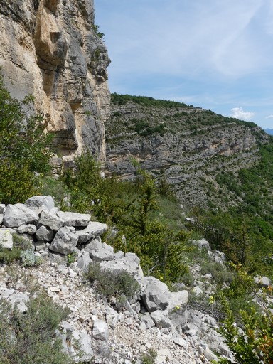Extrémité nord de la falaise des Daumas, plate-forme inférieure fermée par un muret en pierre sèche.
