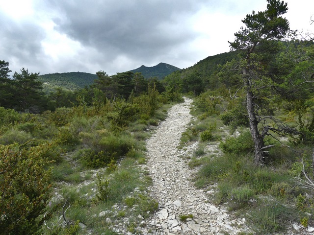 Ancien chemin de Rosans à Pommerol.