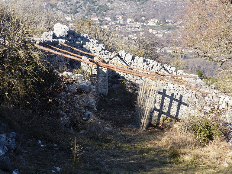 Bergerie du Trépaut (1841 E1 113). Ancien enclos pastoral transformé en bergerie.