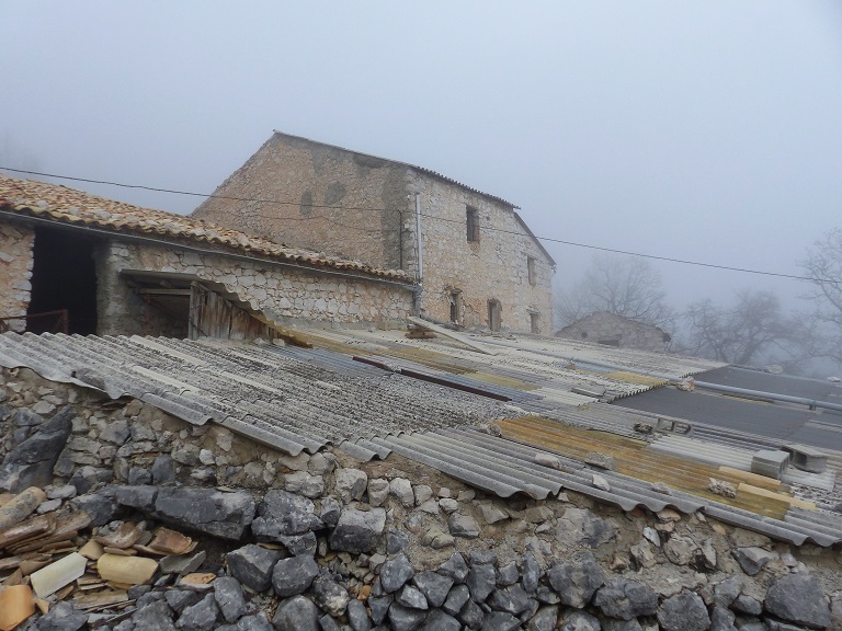 Bâtiment 1 et enclos pastoral couvert. Vue d'ensemble prise du sud-ouest.