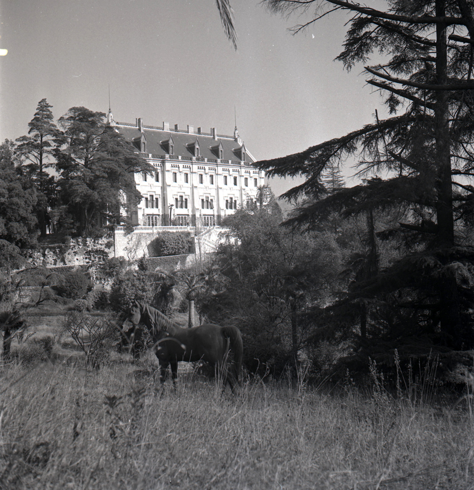 parc d'agrément Valrose, ancien parc d'agrément de la Villa Valrose