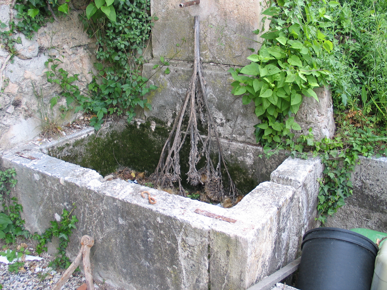 fontaine et abreuvoir dite fontaine de la ferme Rebory